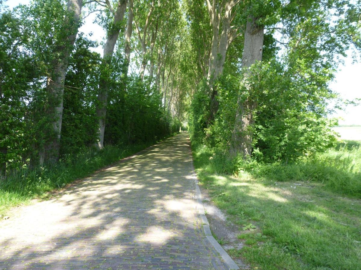 Vakantiewoning Domburg Do31 Luaran gambar
